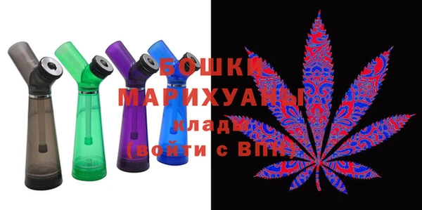 индика Верхний Тагил