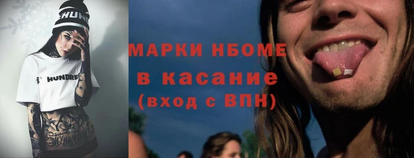 индика Верхний Тагил