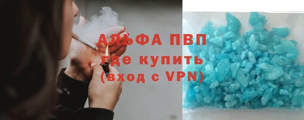 индика Верхний Тагил