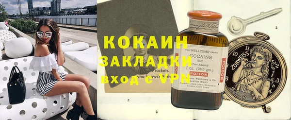 индика Верхний Тагил