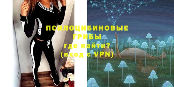 молекула духа Верея