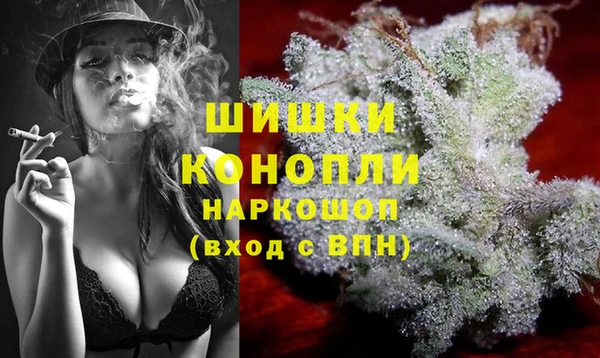 индика Верхний Тагил