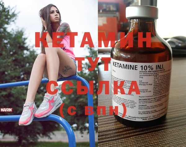 индика Верхний Тагил